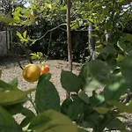 Σπίτι διακοπών Detached Renovated With A Garden 3 Min Walk From The Βραχάτι