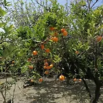 Σπίτι διακοπών Detached Renovated With A Garden 3 Min Walk From The *