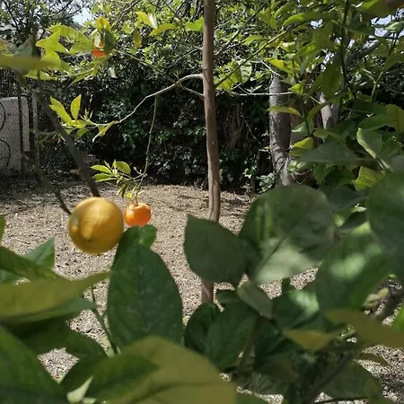 펜션 Detached Renovated With A Garden 3 Min Walk From The 벌하티