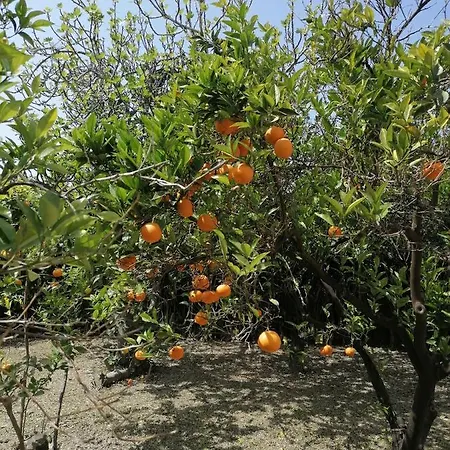 Σπίτι διακοπών Detached Renovated With A Garden 3 Min Walk From The *